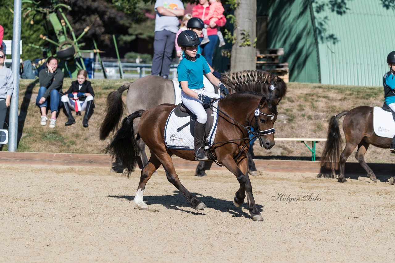 Bild 63 - Pony Akademie Turnier